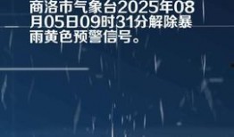 今日头条商洛爆料,揭秘当地热点事件背后的真相